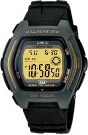 Casio HDD-600G-9A