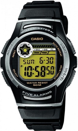 Casio Outgear W-213-9A